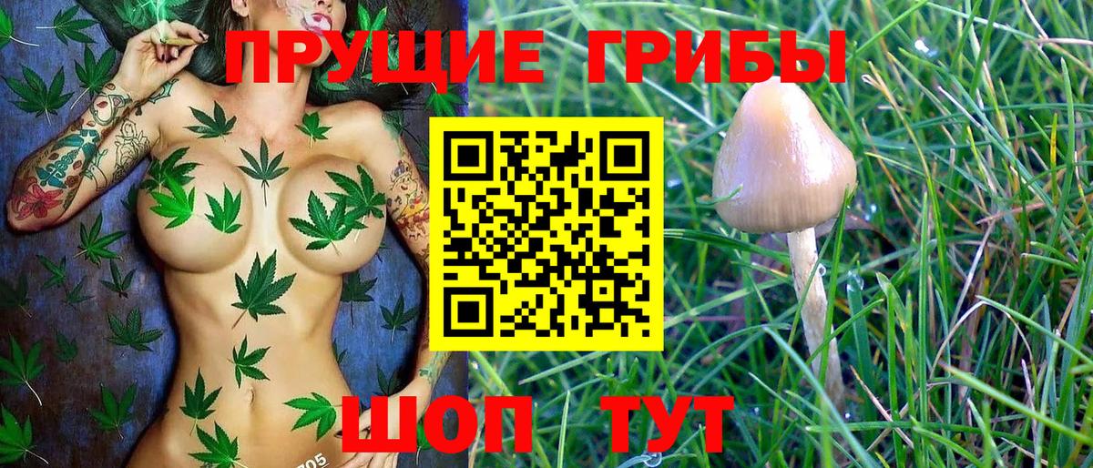 Галлюциногенные грибы Cubensis Арзамас