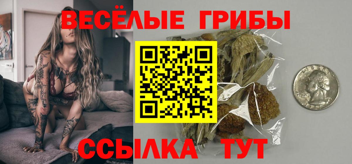 Арзамас  Псилоцибиновые грибы Psilocybine cubensis  Вход с VPN 